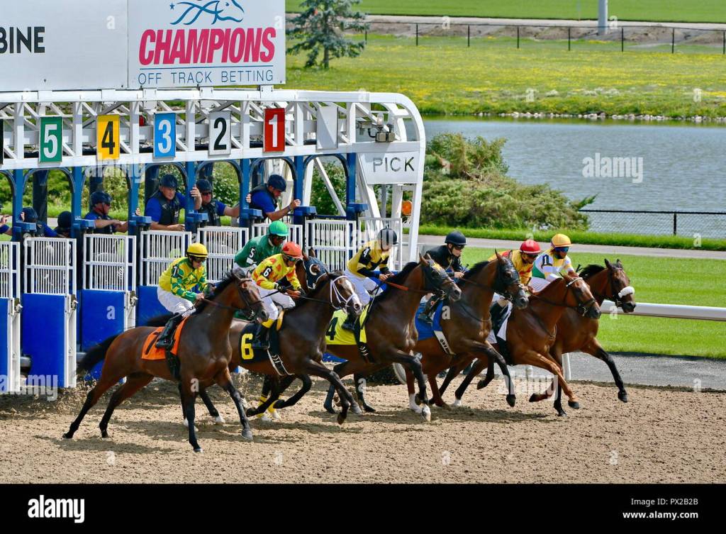 Stocks Came Rushing Out Of The&nbsp;Gates